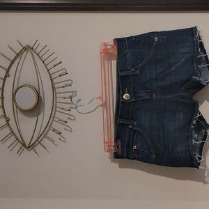 Hudson denim cut off shorts